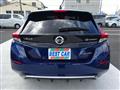 2020 Nissan Leaf