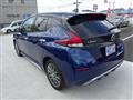 2020 Nissan Leaf