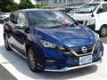 2020 Nissan Leaf