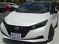 2022 Nissan Leaf
