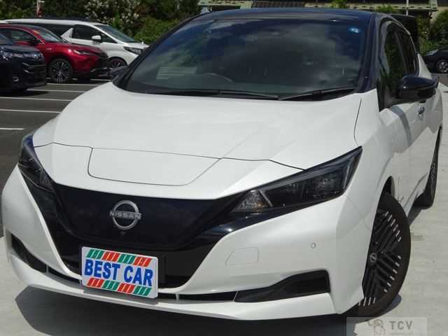 2022 Nissan Leaf