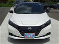 2022 Nissan Leaf