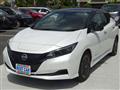 2022 Nissan Leaf