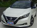 2019 Nissan Leaf