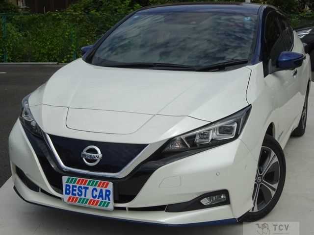 2019 Nissan Leaf