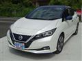 2019 Nissan Leaf