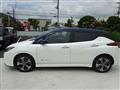 2019 Nissan Leaf
