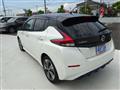 2019 Nissan Leaf