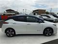2019 Nissan Leaf