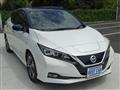 2019 Nissan Leaf