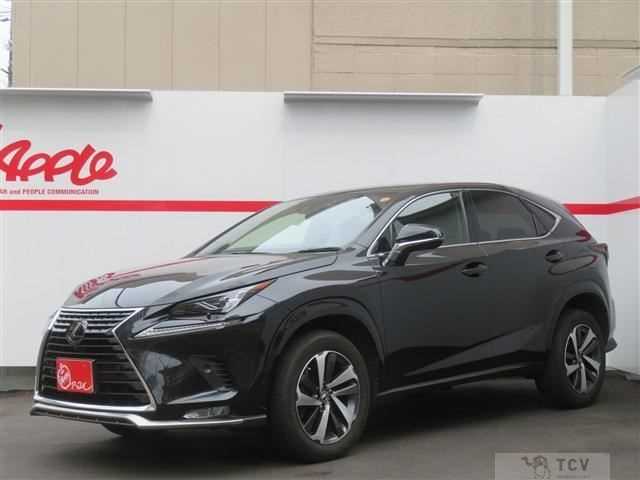 2021 Lexus Other