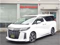 2020 Toyota Alphard G