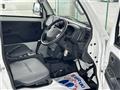 2019 Suzuki Carry Truck