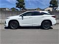 2020 Lexus RX