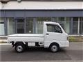 2019 Suzuki Carry Truck