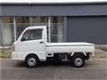 2019 Suzuki Carry Truck