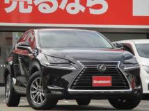 2018 Lexus Other