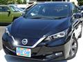2019 Nissan Leaf