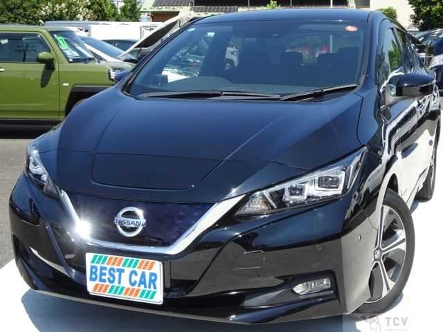 2019 Nissan Leaf
