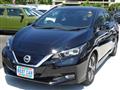 2019 Nissan Leaf