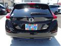 2019 Nissan Leaf