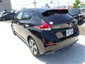 2019 Nissan Leaf
