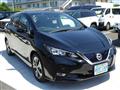 2019 Nissan Leaf