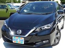 2019 Nissan Leaf