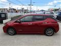 2019 Nissan Leaf