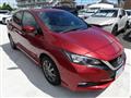 2019 Nissan Leaf