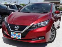 2019 Nissan Leaf