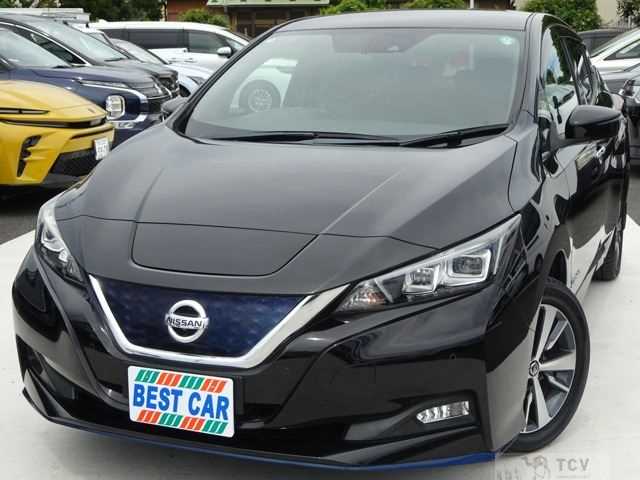 2019 Nissan Leaf