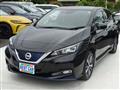 2019 Nissan Leaf