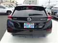 2019 Nissan Leaf