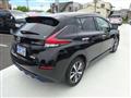 2019 Nissan Leaf