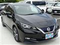 2019 Nissan Leaf
