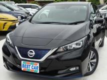 2019 Nissan Leaf