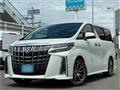 2021 Toyota Alphard G