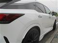 2025 Lexus RX