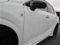 2025 Lexus RX