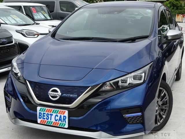 2020 Nissan Leaf