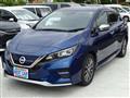 2020 Nissan Leaf