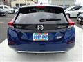 2020 Nissan Leaf
