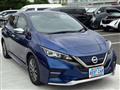 2020 Nissan Leaf