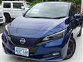 2022 Nissan Leaf