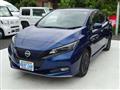 2022 Nissan Leaf