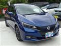 2022 Nissan Leaf