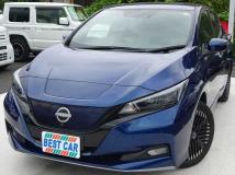 2022 Nissan Leaf