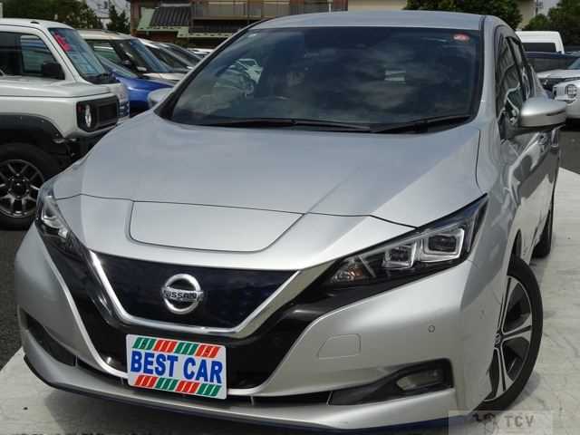2019 Nissan Leaf