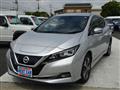 2019 Nissan Leaf